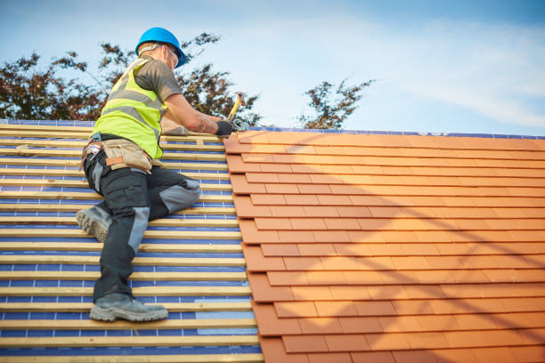 Best Roof Insulation Installation  in Mcadoo, PA